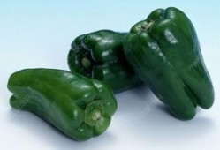 大瓜吃辣椒,辣椒美食盛宴