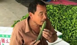 搬砖的吃瓜群众,搬砖群众视角下的吃瓜日常