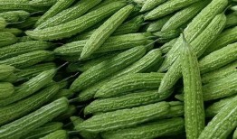 反吃瓜图片大全,反吃瓜图片大全背后的社会现象