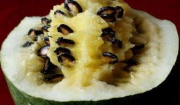 吃瓜嗑瓜子图,揭秘吃瓜嗑瓜子的趣味瞬间