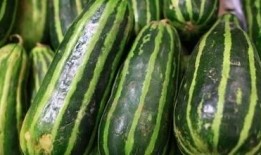 孕期吃梢瓜,营养益处与注意事项