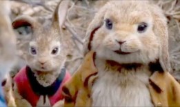 吃瓜甜鼠,揭秘网络红人的甜蜜生活与争议