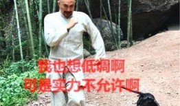 吃瓜群众低调路过,路过娱乐圈风云