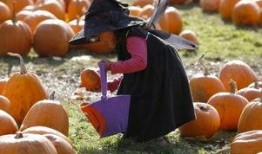 吃瓜路透社,吃瓜路透社带你直击幕后真相