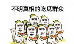 吃瓜群众图表,网络舆论风向标