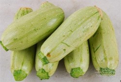 吃瓜百科网站