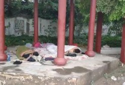 吃瓜群凉亭视频,揭秘网络热议背后的真相