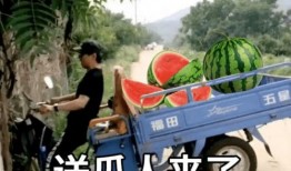 我不再吃瓜文案,我的不再吃瓜宣言