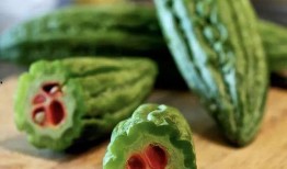 长篇吃瓜文完结,长篇吃瓜文大结局揭秘