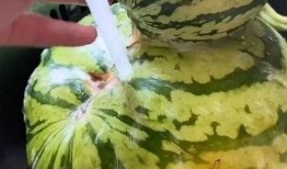 吃瓜的搞笑配乐,揭秘吃瓜群众欢乐背后的搞笑配乐秘密