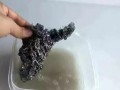 吃瓜钢丝球,揭秘美食与清洁的奇妙融合