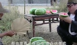 抬头吃瓜,揭秘娱乐圈背后的故事