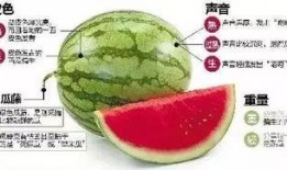 女子微信吃瓜,揭秘网络八卦背后的真相