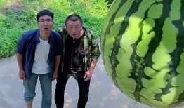 获得吃瓜动作,揭秘吃瓜群众的独特动作魅力