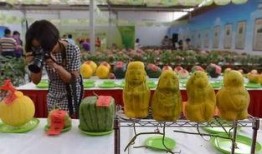 线下吃瓜体验小品,一场别开生面的小品体验之旅