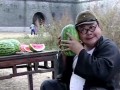 女人吃瓜搞笑瞬间,女性吃瓜搞笑瞬间大盘点