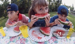 吃瓜的群众乐趣