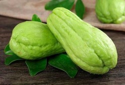 佛手瓜的根下长瓜怎么吃