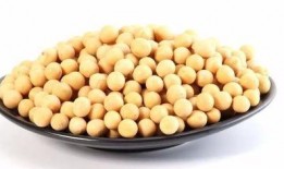 小瓜吃豆,趣味横生的冒险之旅