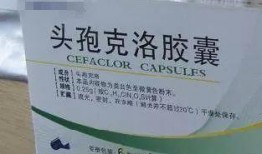 吃头孢能吃瓜吗,揭秘抗生素与食物相克之谜