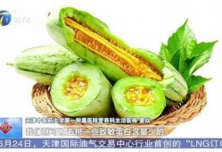 吃蜜瓜有什么,揭秘吃蜜瓜的五大益处