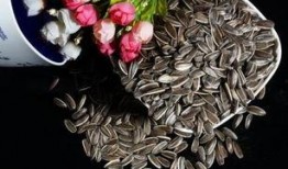 咳瓜子吃瓜,吃瓜群众的狂欢